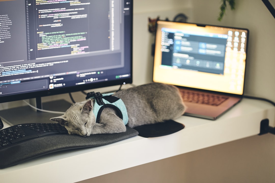 Team member 4